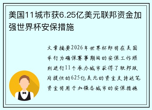 美国11城市获6.25亿美元联邦资金加强世界杯安保措施